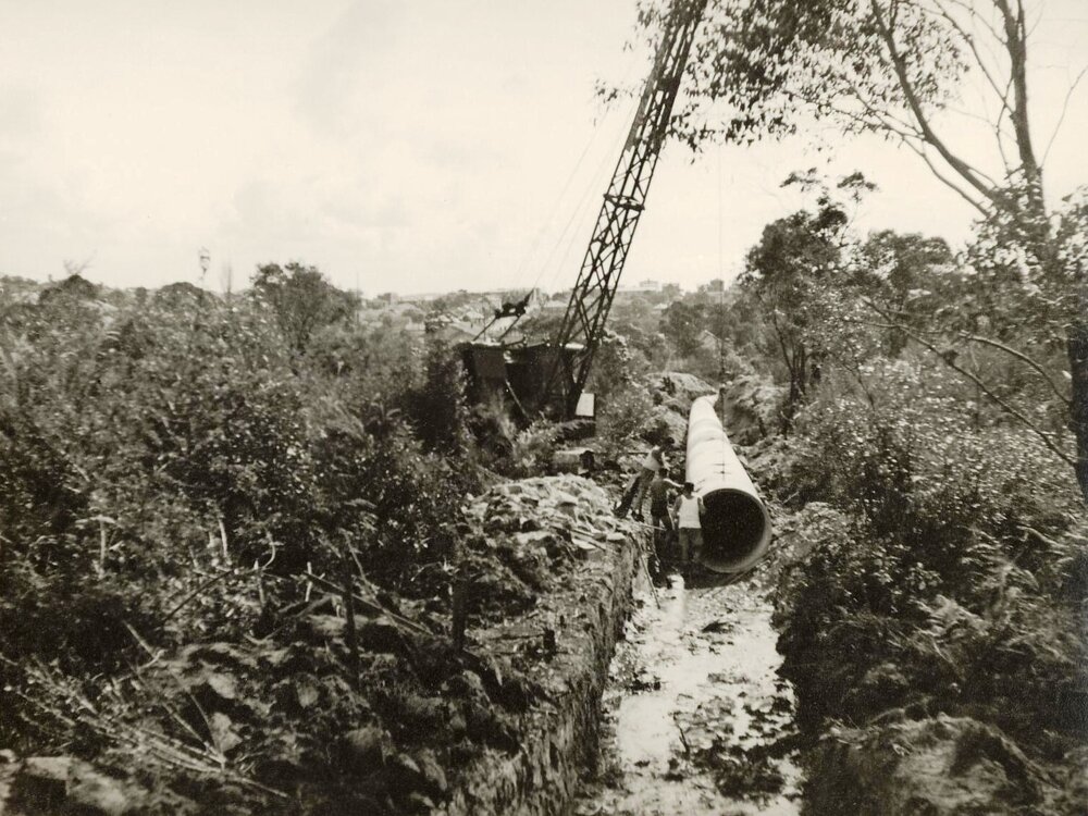 Pipe north of Hilder Road, Balgowlah Heights, September 1950