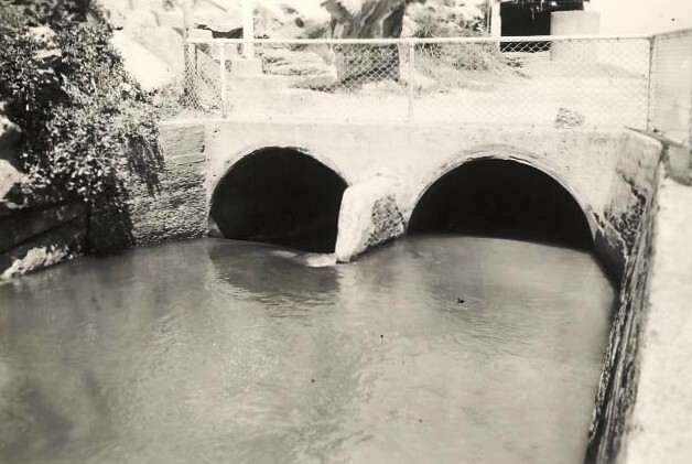 Queenscliff Lagoon outlet b, Queenscliff, 3rd March 1956