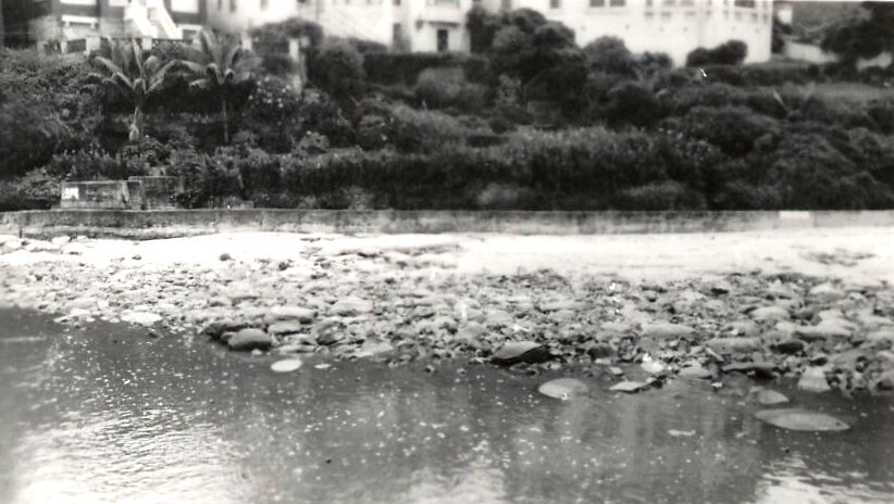Queenscliff Lagoon outlet l, Queenscliff, 1956