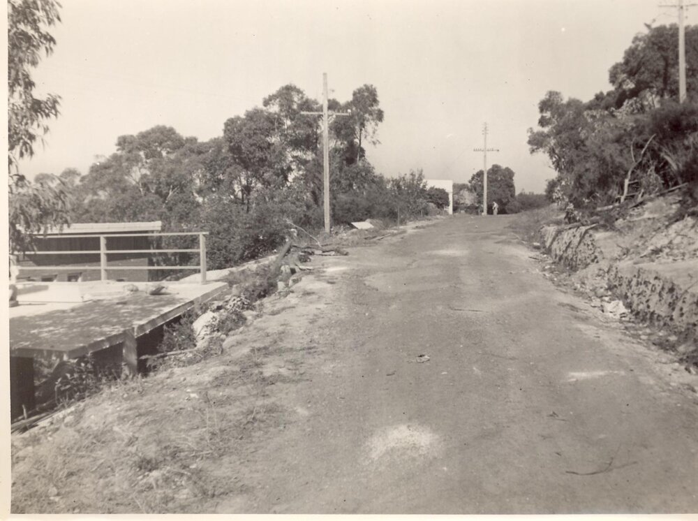 Richmond Road, Seaforth, May 1954