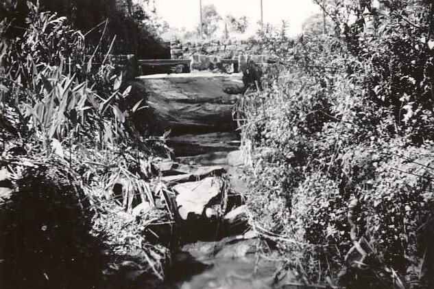 Sangrado Street watercourse, Seaforth, 24th September 1959