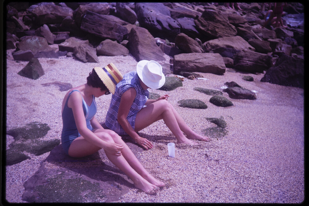 Collecting shells at Shelley Beach, Manly 1964
