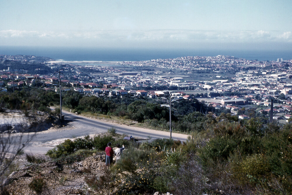 View from Beacon Hill overlooking Brookvale, 1962