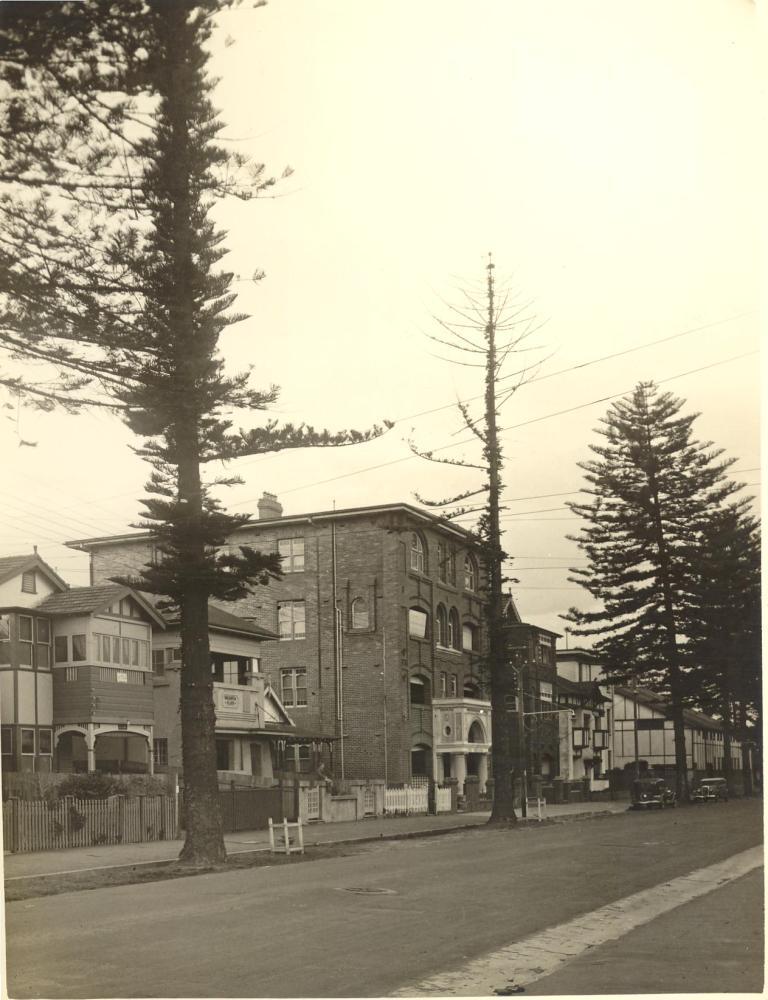 Ashburner Street, Manly, with pine trees, 1936