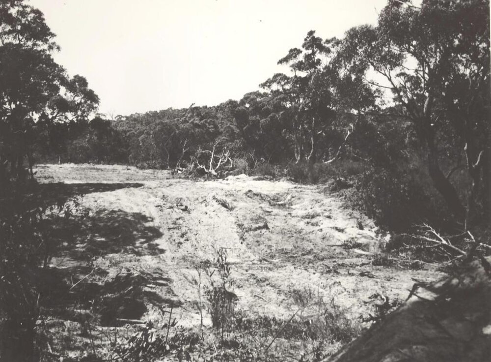 Baringa Avenue west of Koobilya Street, Seaforth, Sept 1948 