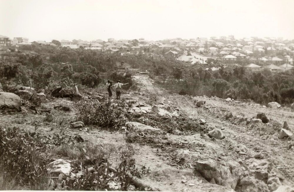 Surveying Curban Street extension, Balgowlah Heights, July 1955