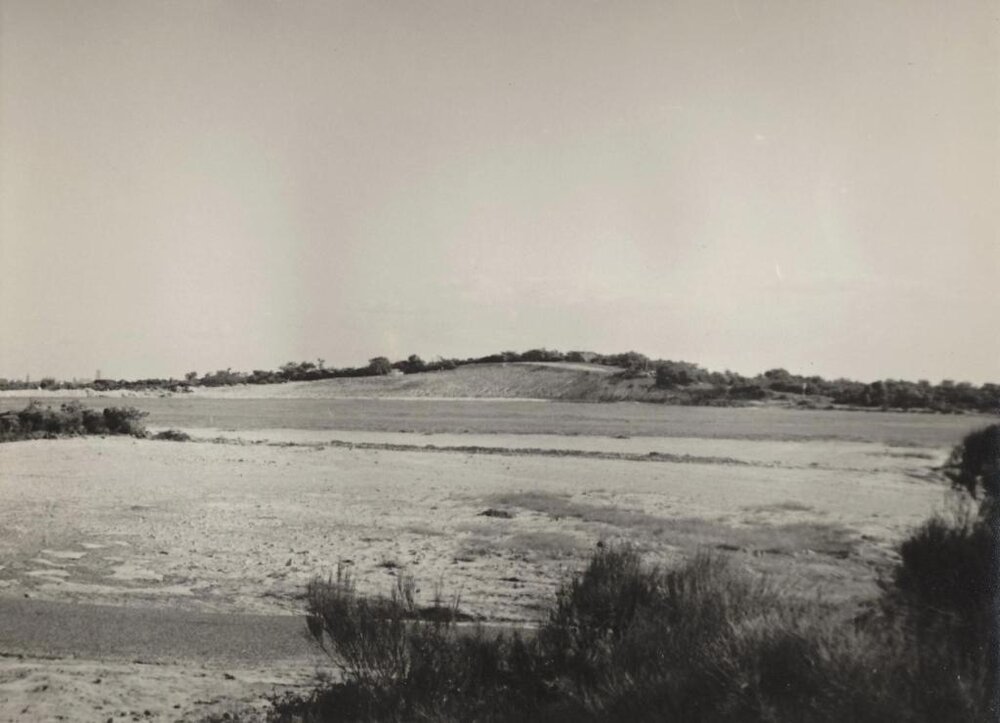 Tania Park, Balgowlah Heights, in 1964