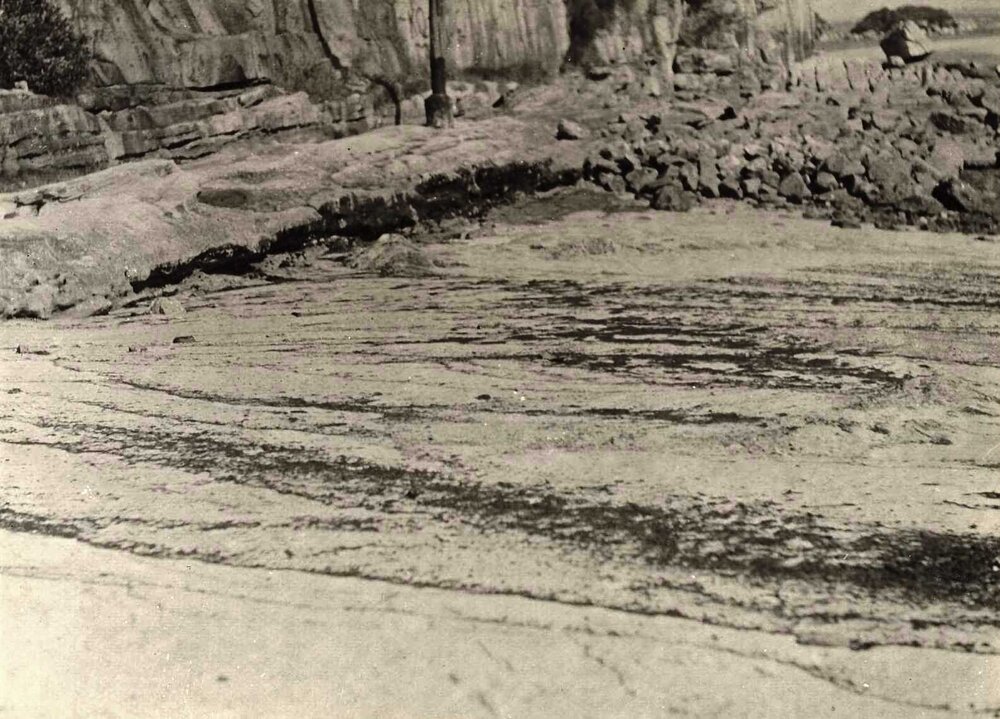 Tar on Little Manly beach, Manly, 23rd April 1940