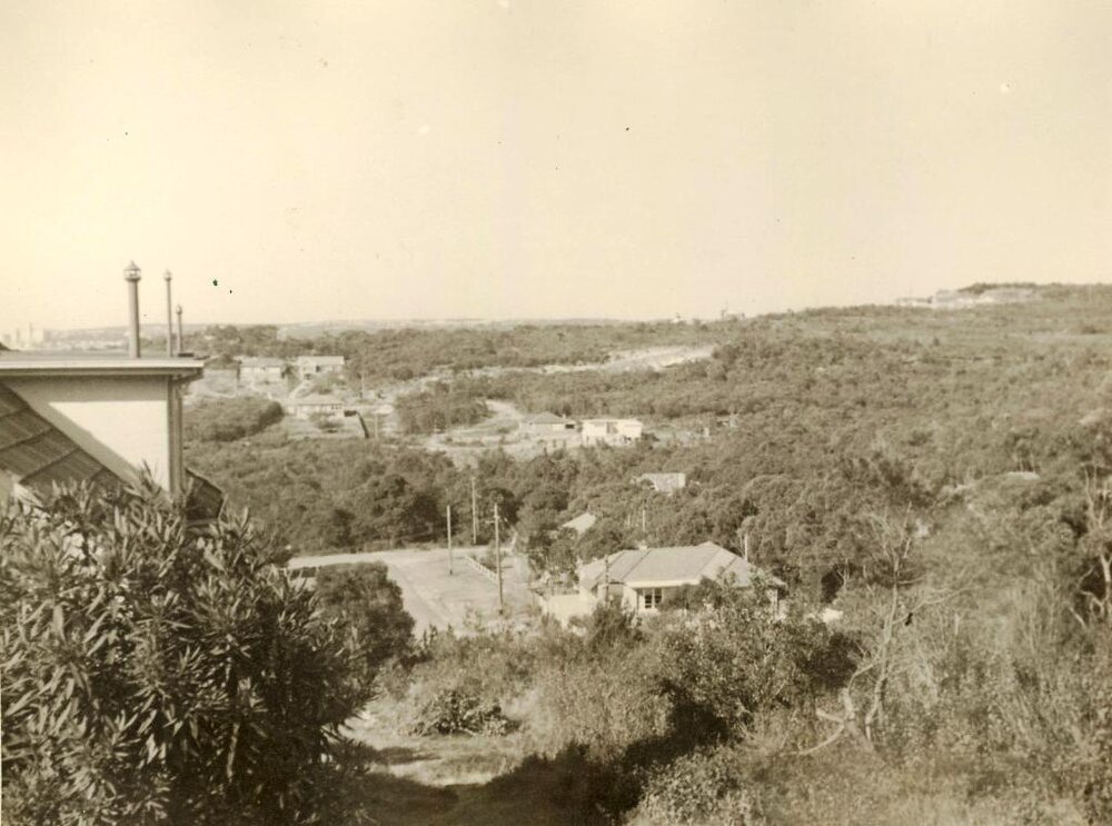 The Crown land south of Curban Street, Balgowlah Heights, July 1955