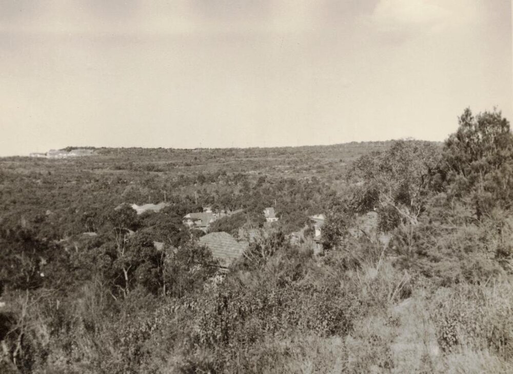 The Crown land south of Curban Street 2, Balgowlah Heights, July 1955
