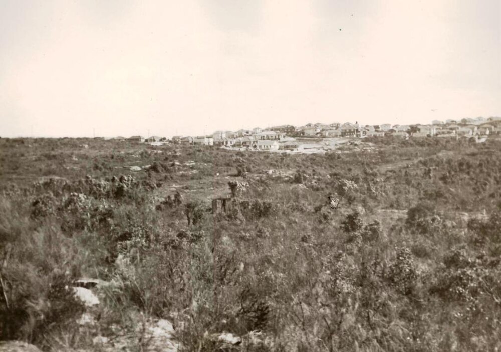 The Curban Street extension, Balgowlah Heights, July 1955