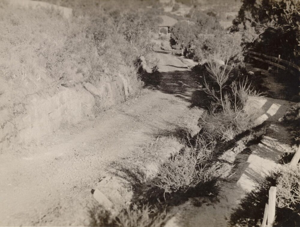Tramway Road south to Harbourview Street, Balgowlah, 29th June 1946