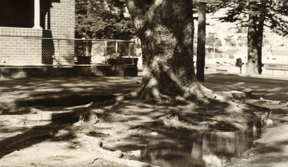 Victoria Parade corner East Esplanade, Manly,  1st July 1937