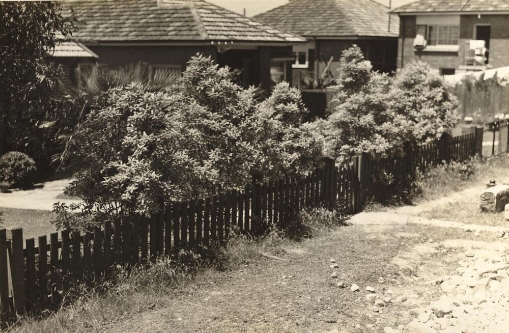 Violet Street, Mrs Evans' property,, Balgowlah,25th November 1937