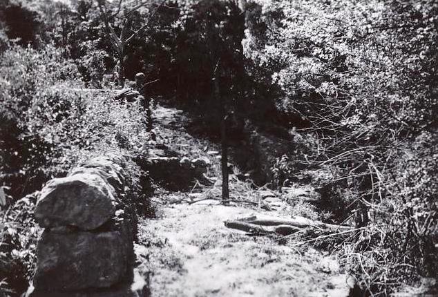 Wall at Sangrado Street watercourse, Seaforth, 24th September 1959