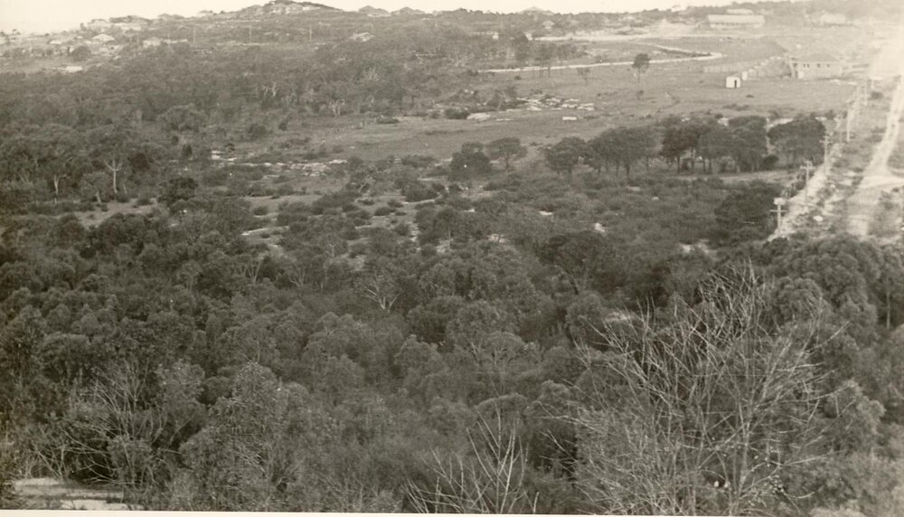War service homes estate, Fromelles Avenue, Seaforth, 30th June 1947