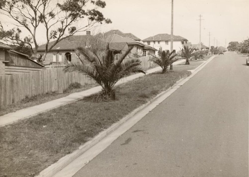 Waratah Street near Griffiths, Fairlight, 26th May 1949