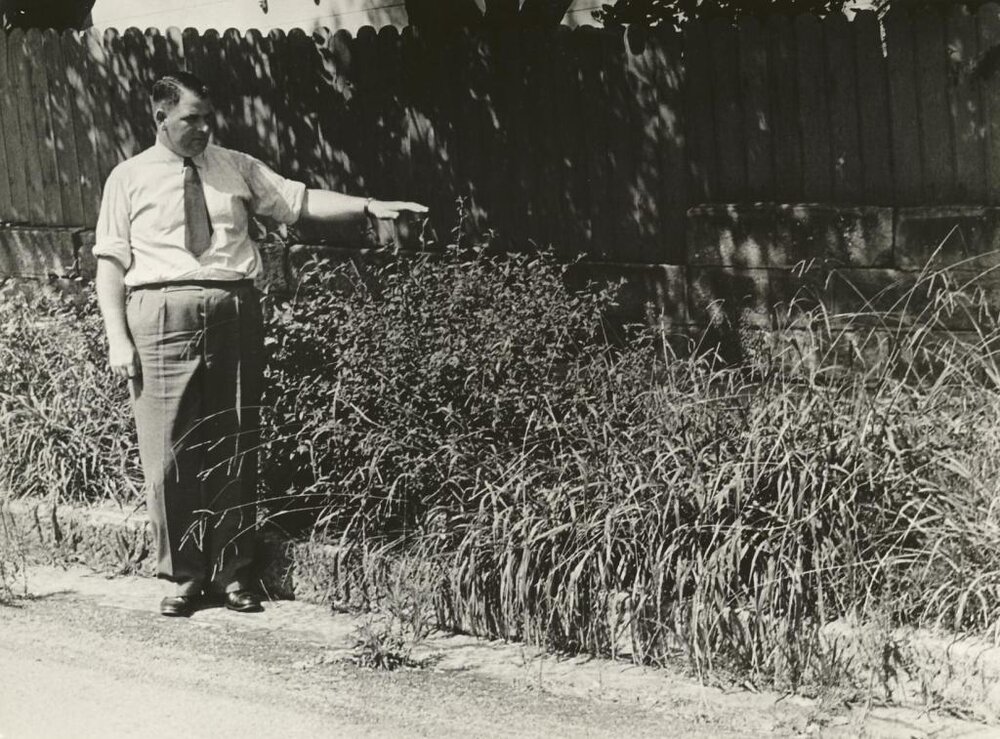 Weeds, Osborne Road near East Esplanade, Manly, 23rd January 1948