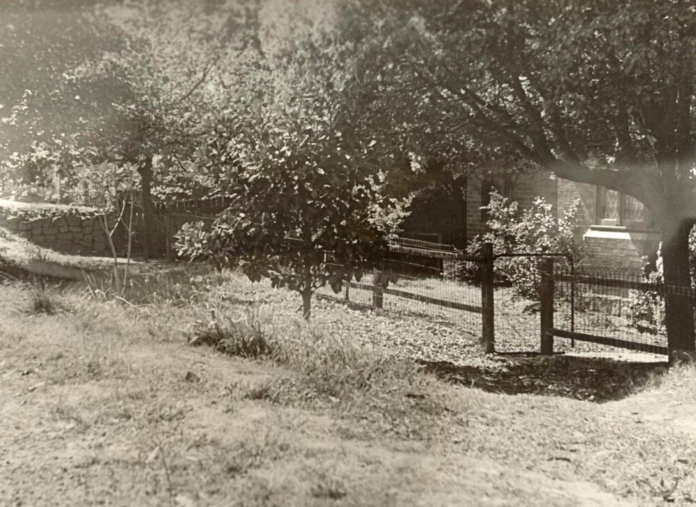 Woodland Street property north of Hilder Road, Balgowlah Heights, 14th September 1948