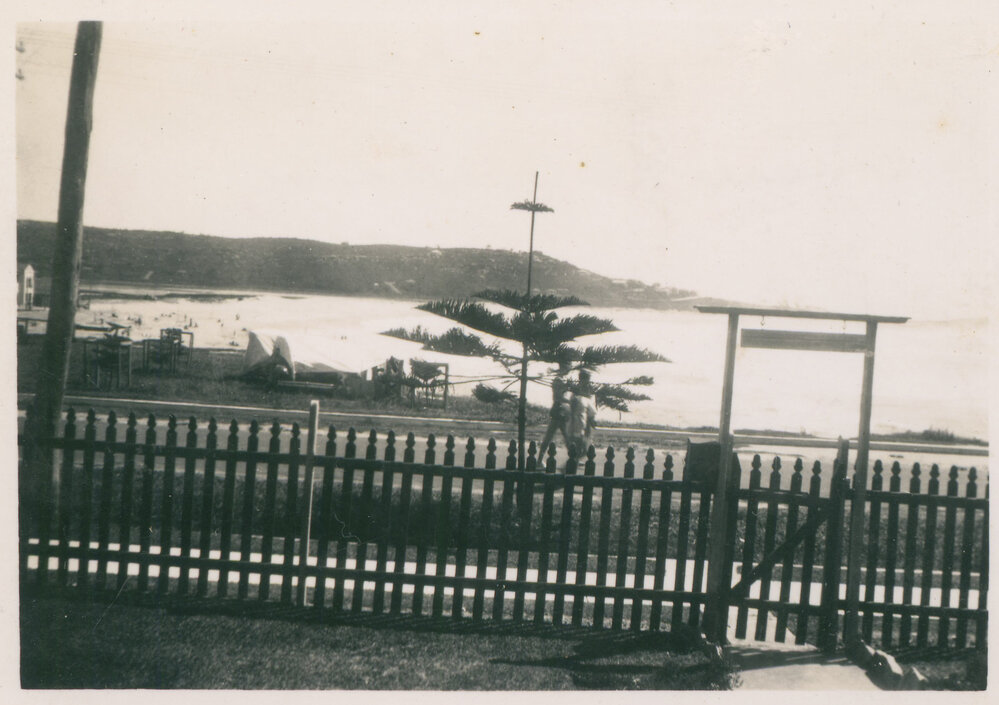 View from Sulmare Guest House verandah in Oaks Avenue Dee Why, 1938
