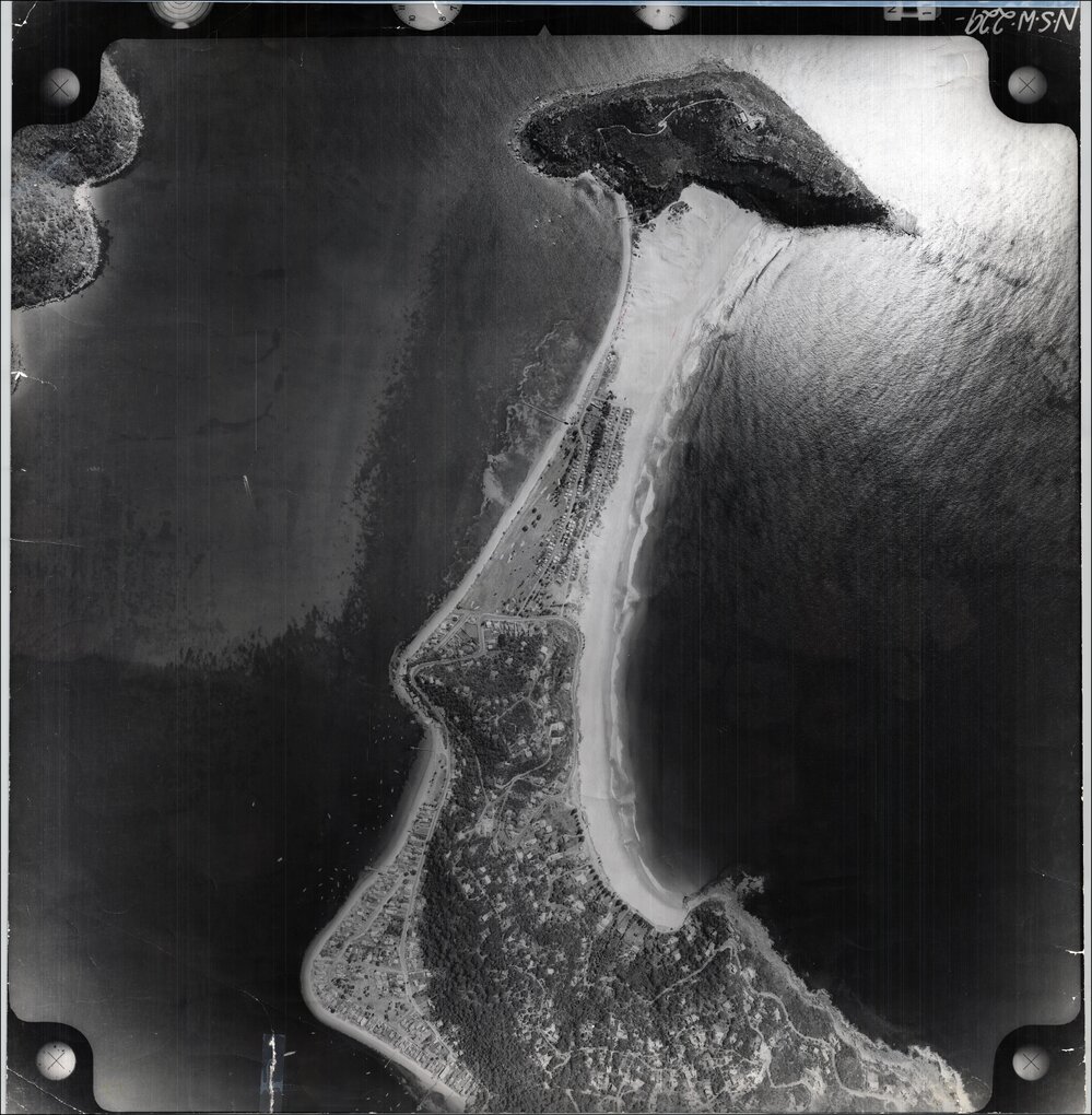 Aerial photograph of Barrenjoey, Palm Beach, 1956