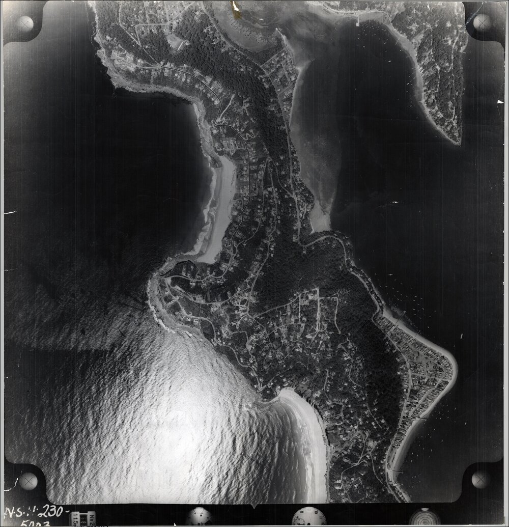 Aerial photograph of Whale Beach, Careel Bay, Palm Beach, 1956