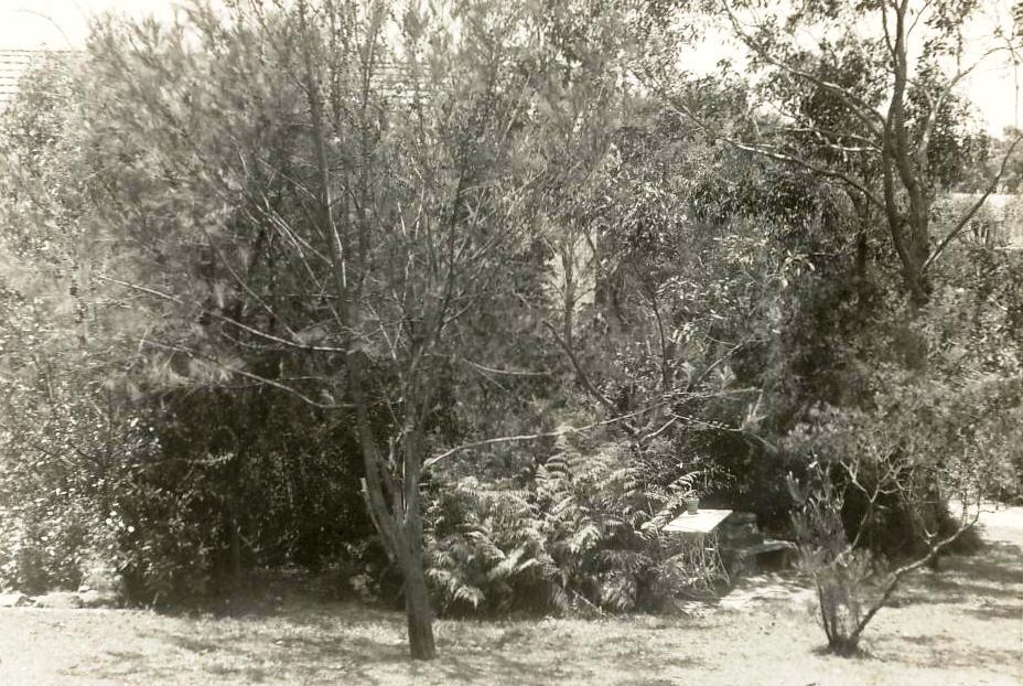 Unidentified site with trees small bushes and outdoor furtniture, c1940s