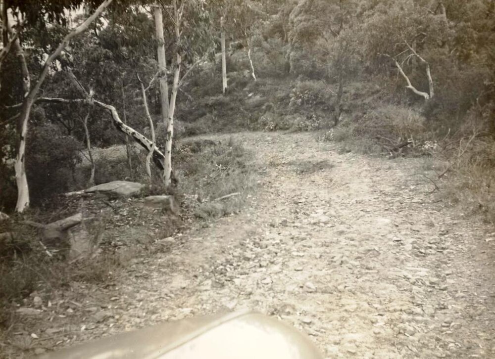 Photograph of an unidentified unsealed road, showing sharp bend and slope c1940s