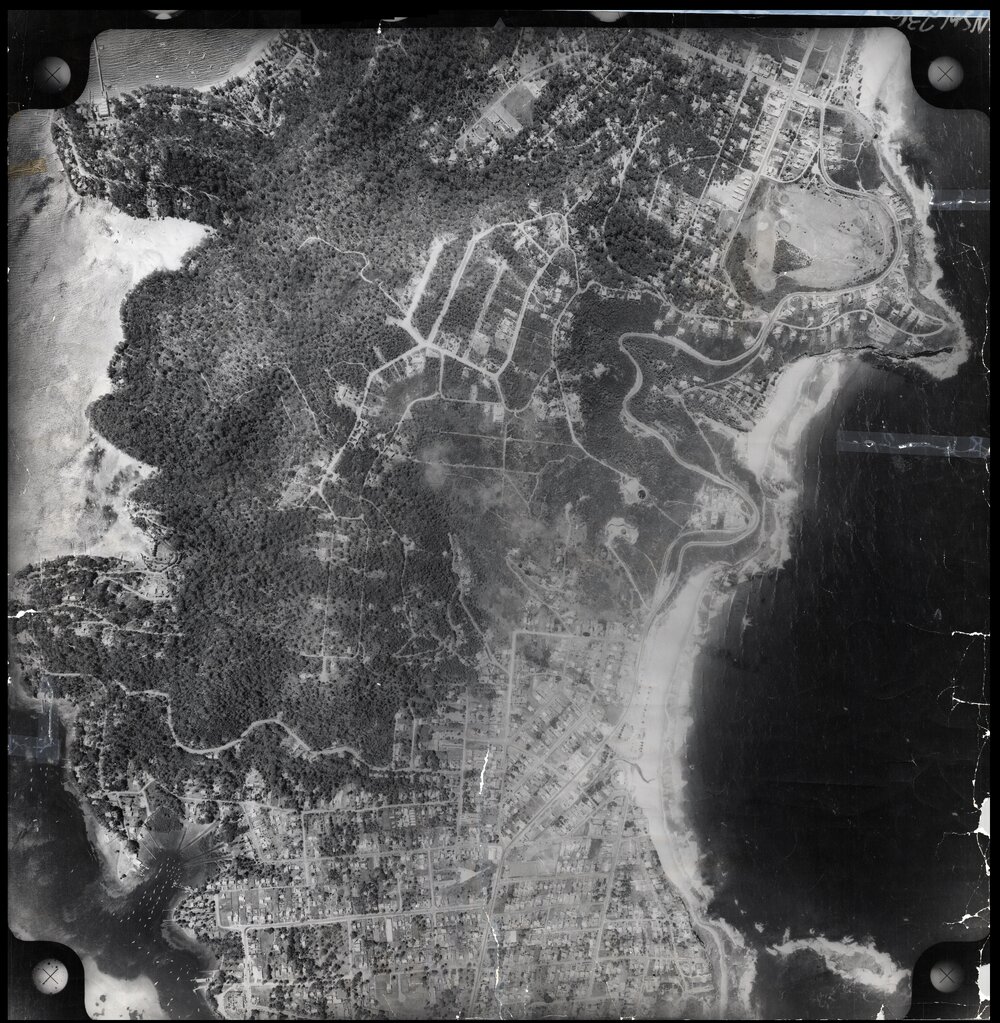 Aerial photograph of Newport, Bilgola Beach, Bilgola Plateau, Clareville, 1956