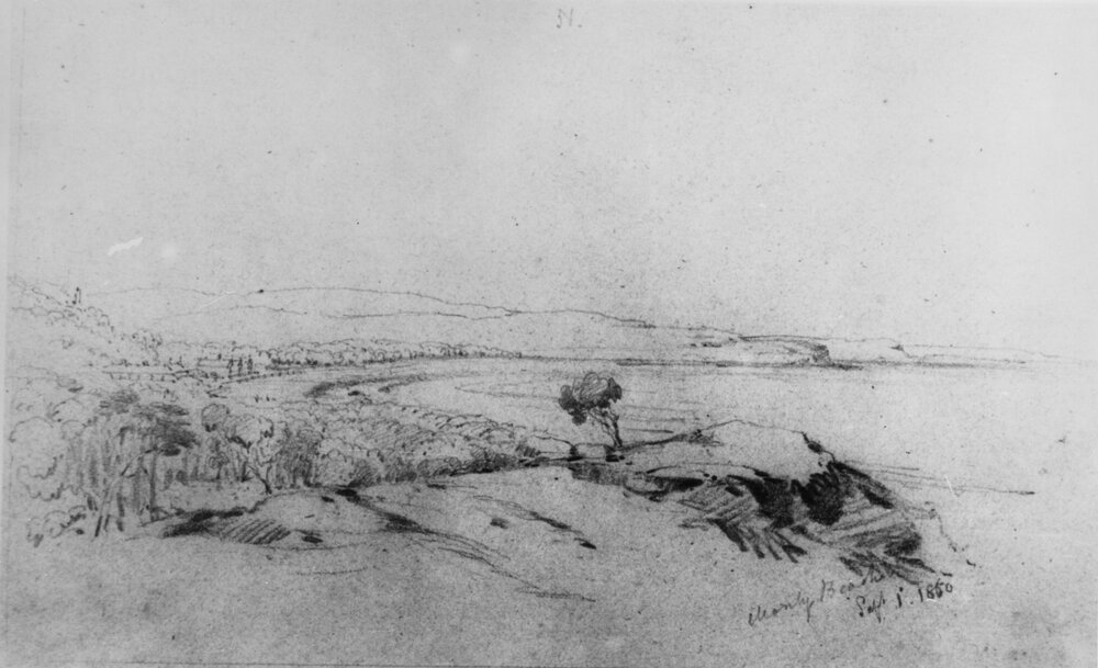 Sketch showing panoramic view north over Manly Beach and shoreline, Manly, 1850