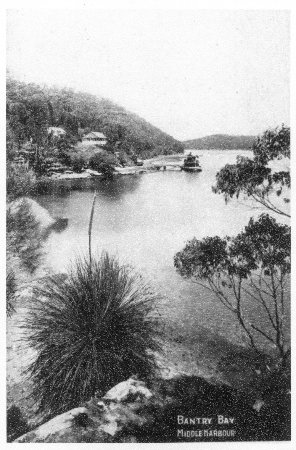 Bantry Bay, Middle Harbour from Balmain New Ferry Co, 1906