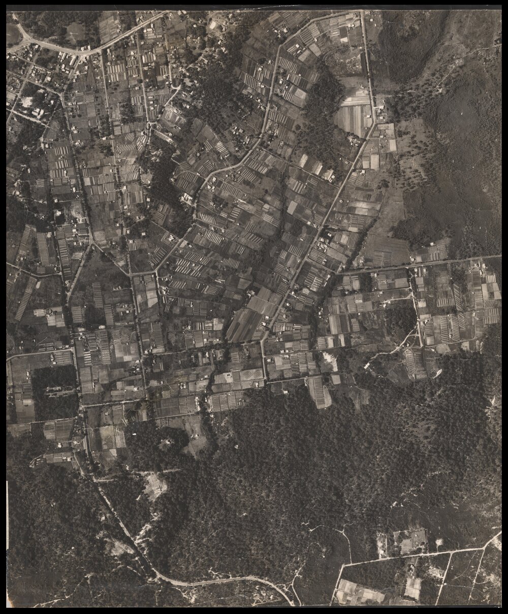 Aerial photograph of Mona Vale, Warriewood, 1951