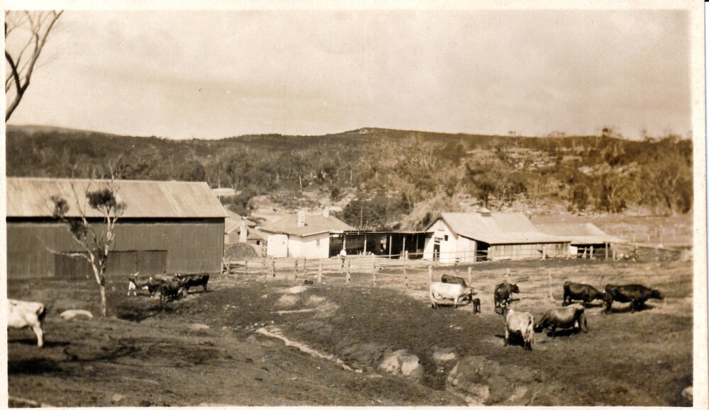 Hill Farm &amp; Brimbecom Dairy on Woodland Street south