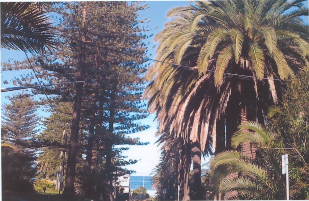 Looking east along Bilgola Ave, Bilgola