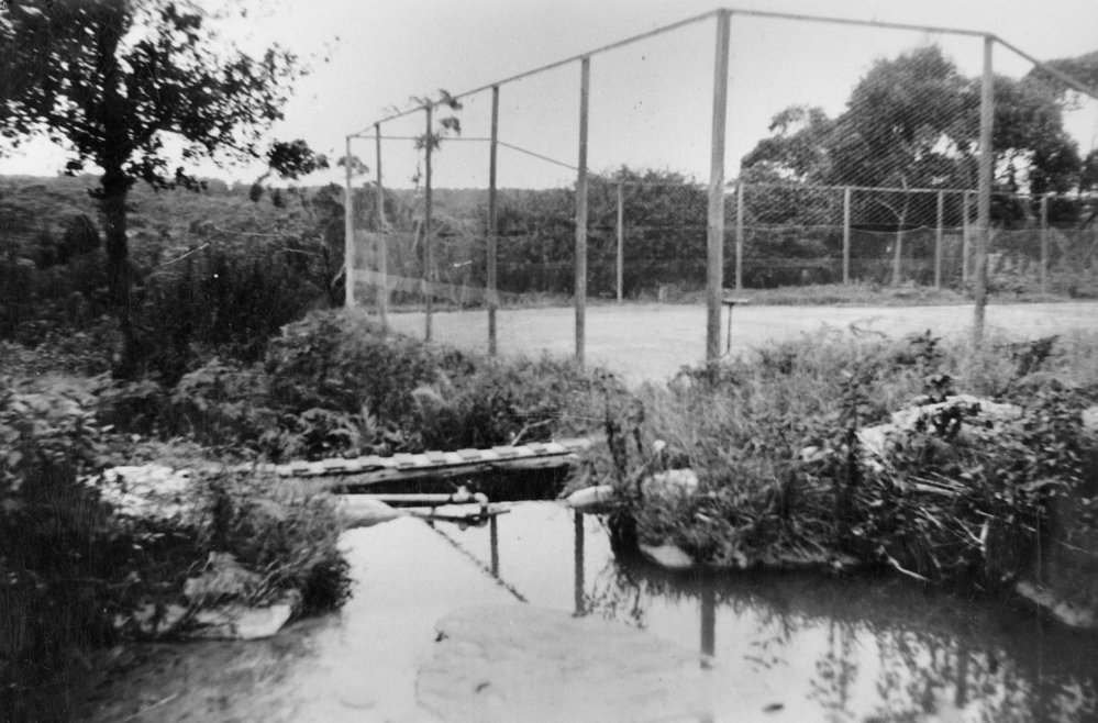 Tennis Court Turvey Farm, Pringle Avenue Belrose, c 1940