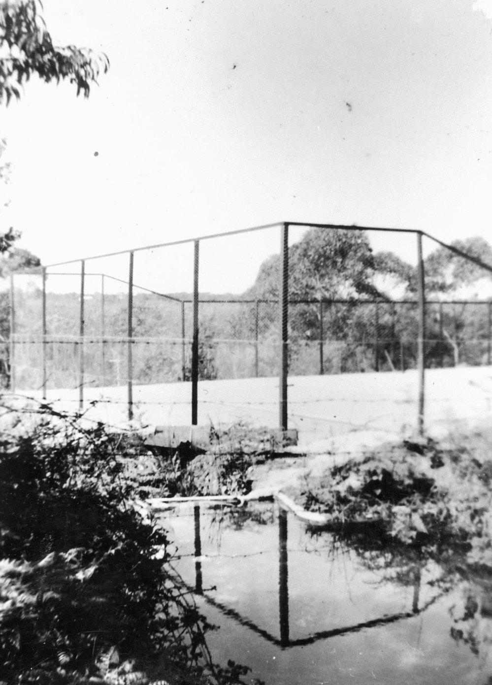 Tennis Court, front garden Turvey Farm, 93 Pringle Avenue Belrose, c 1940