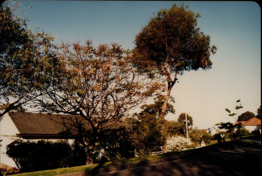 Elimatta Road, Mona Vale