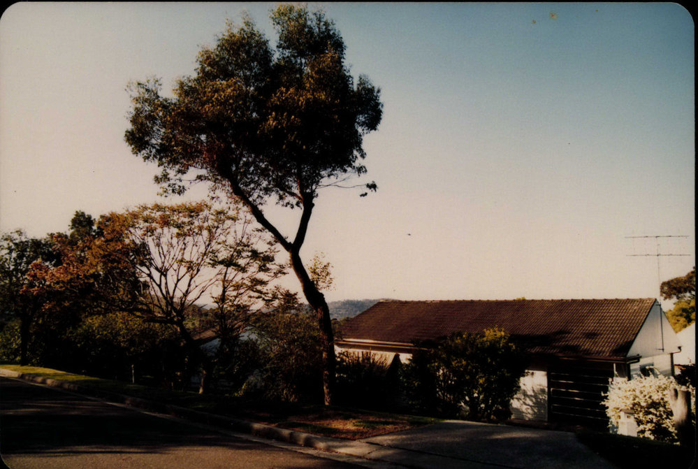 Elimatta Road, Mona Vale