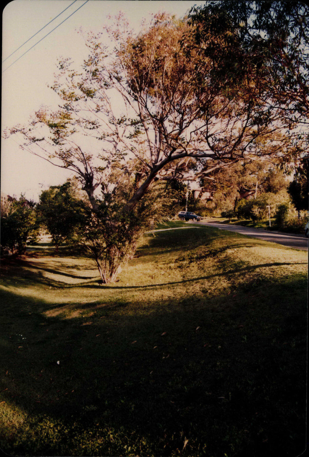 Elimatta Road, Mona Vale