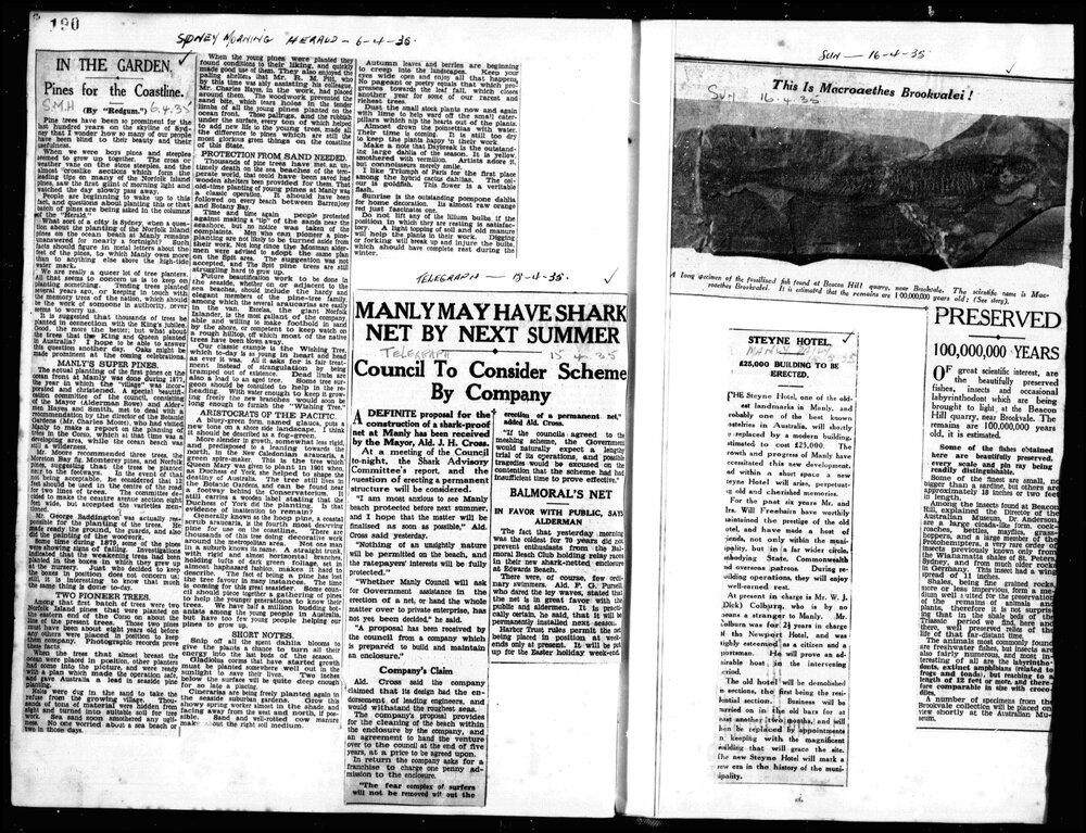 Wellings Cuttings Books Fiche 6 Vol 5 5-10-1931 to 30-05-1935