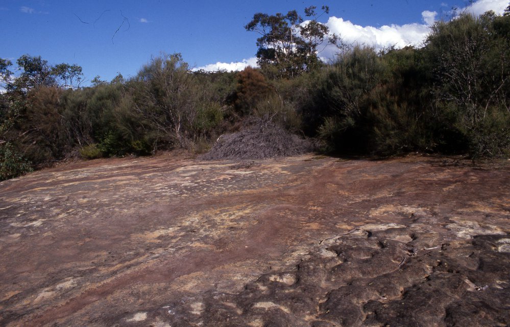 Possibly Wakehurst Golf Course/bushland, rock escarpment