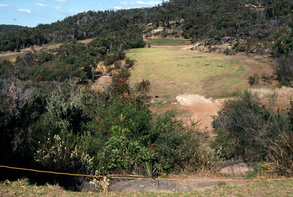 Wakehurst Golf Course looking towards green, North Balgowlah
