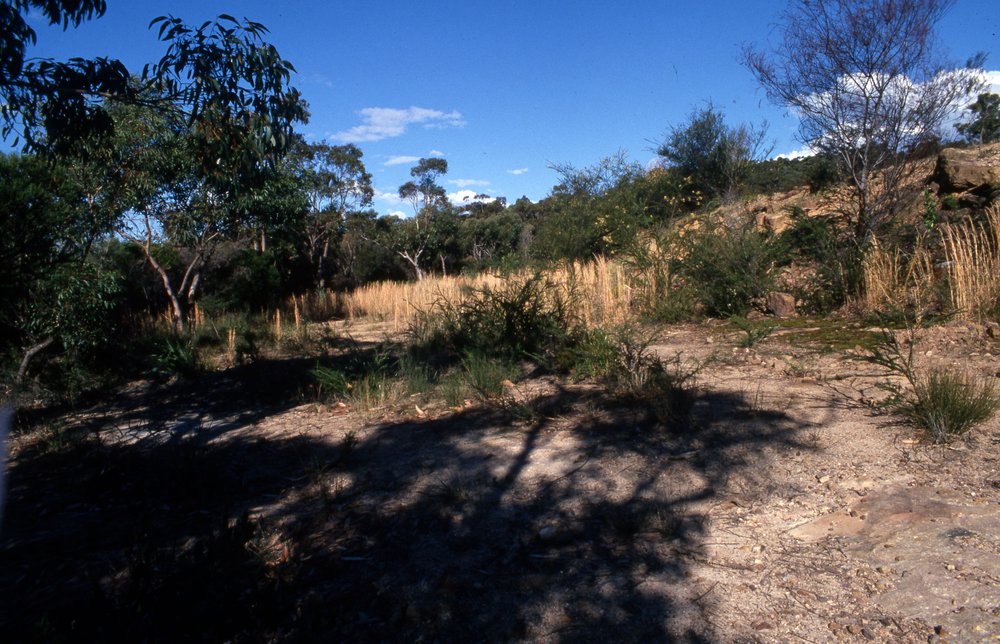 Wakehurst Golf Course/bushland in 1975