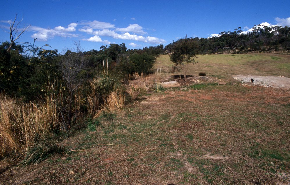 View of Wakehurst Golf Course/bushland