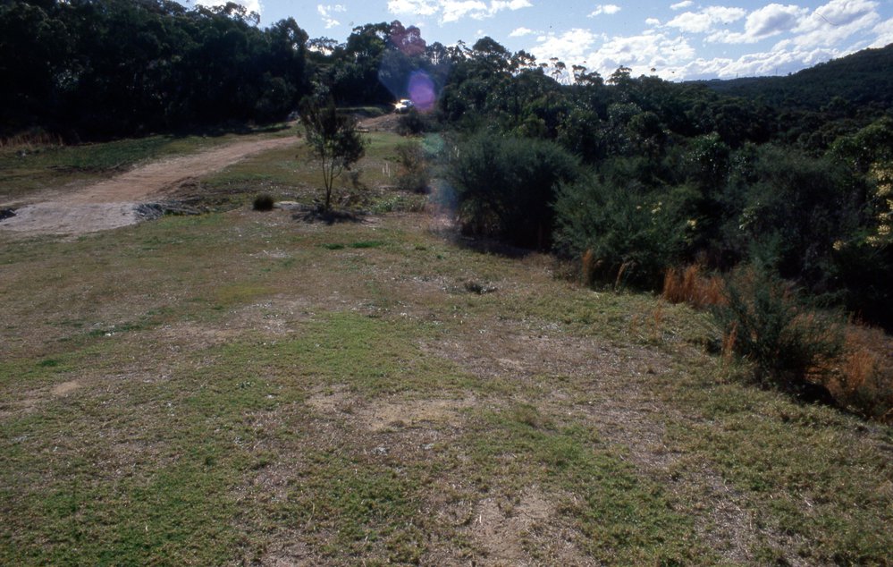 Wakehurst Golf Course bushland