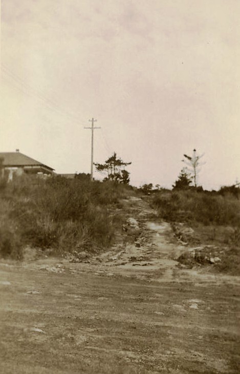 Salisbury Square looking south from Seaforth Crescent, Seaforth, 1934
