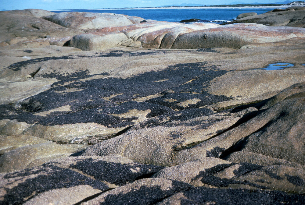 Mussel Band, Flinders Island, 1981