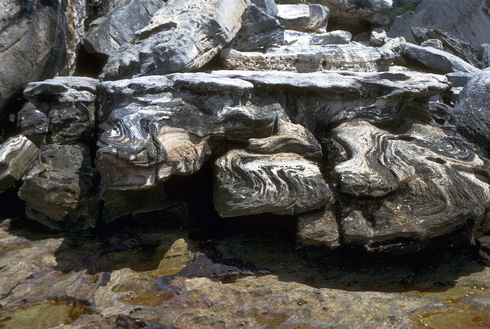Rock Sculpturing, Nielsen Park, 1986