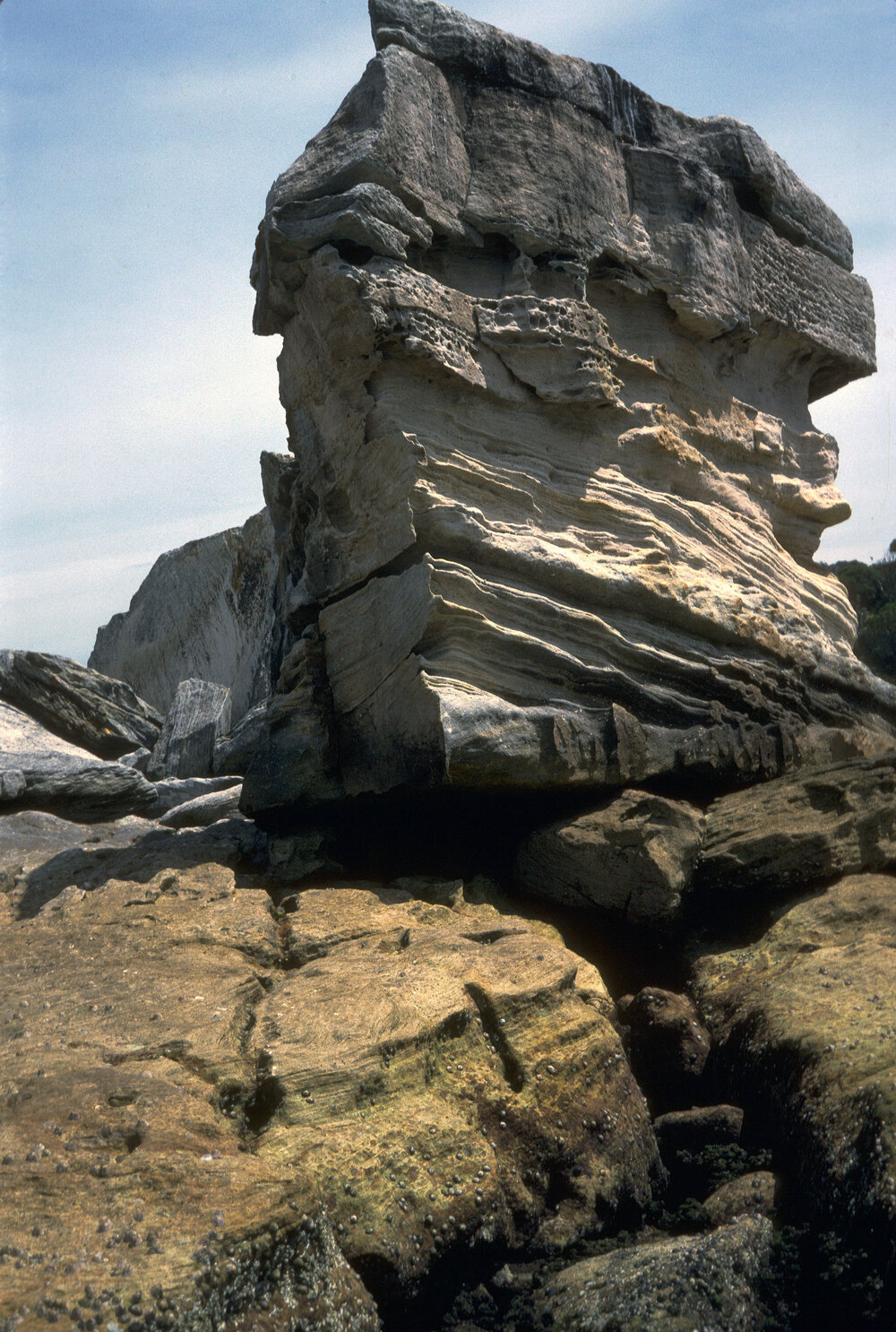 Rock Sculpturing and Crevices, Nielsen Park, 1986