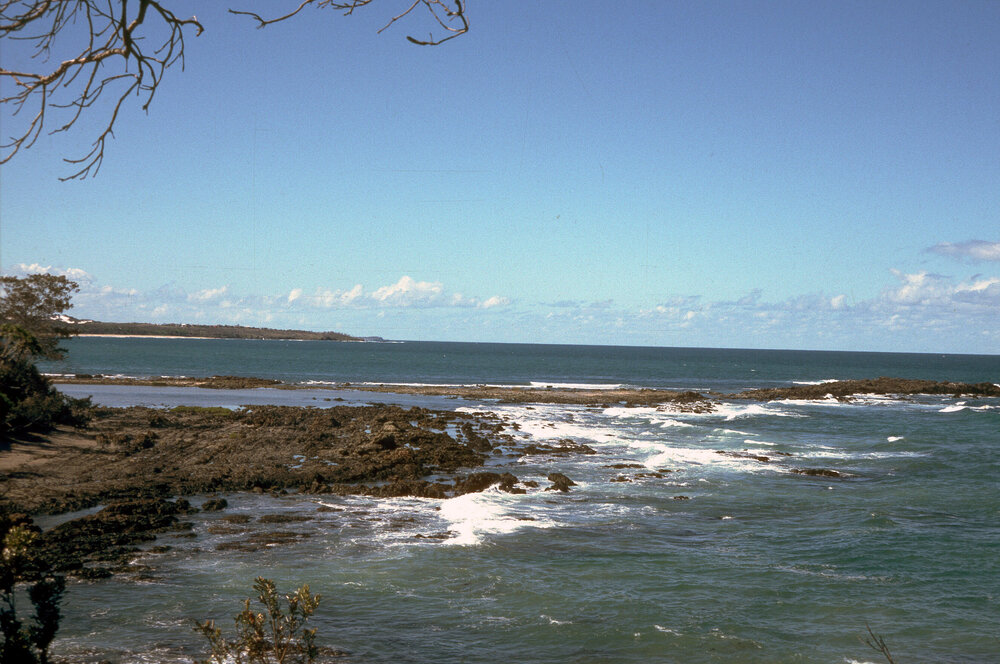 Rock Platform, Wooli